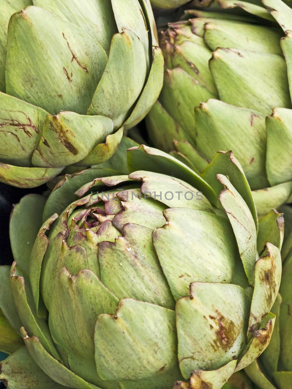 artichoke at a farmer market