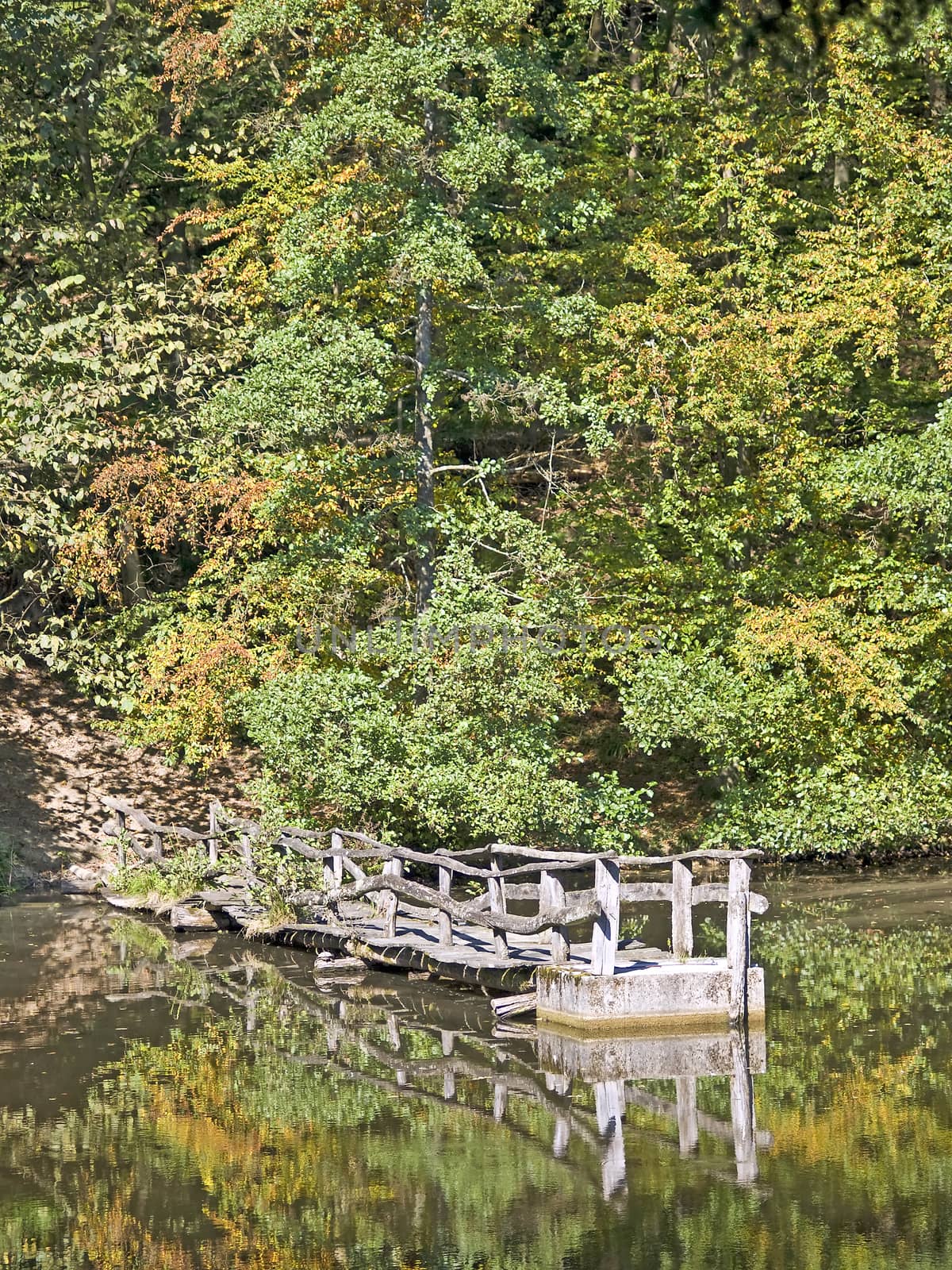 old bridge at a lake by Jochen