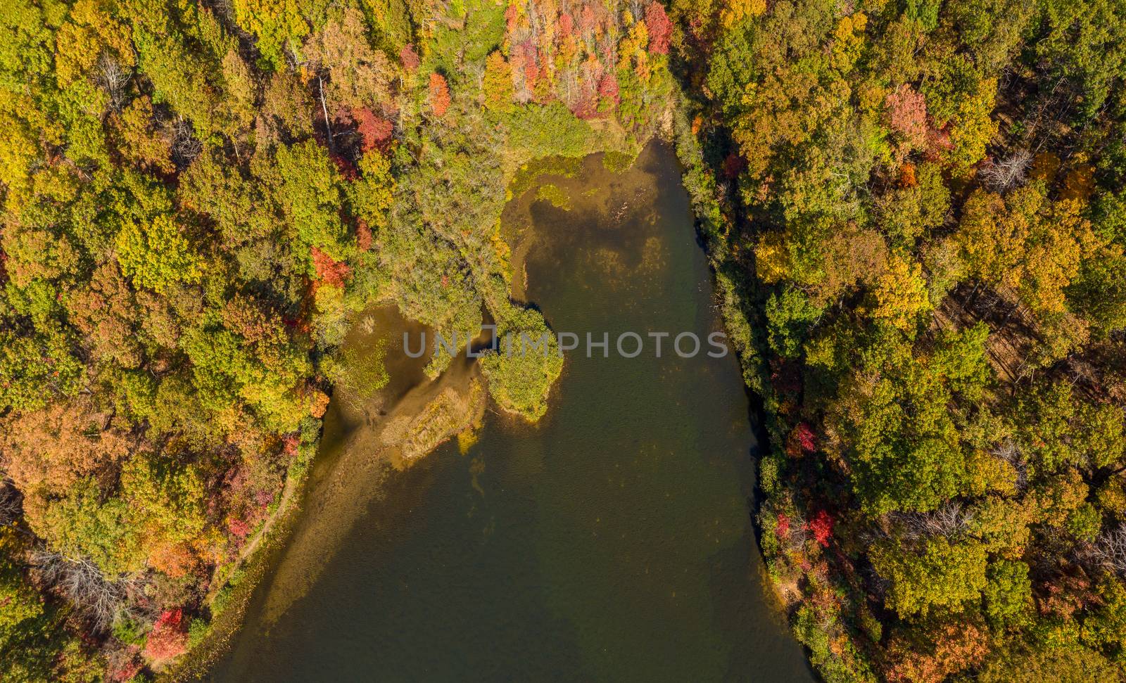 Aerial drone image looking straight down onto the Coopers Rock Lake and Glade Run in the state park in the autumn. Located near Morgantown WV