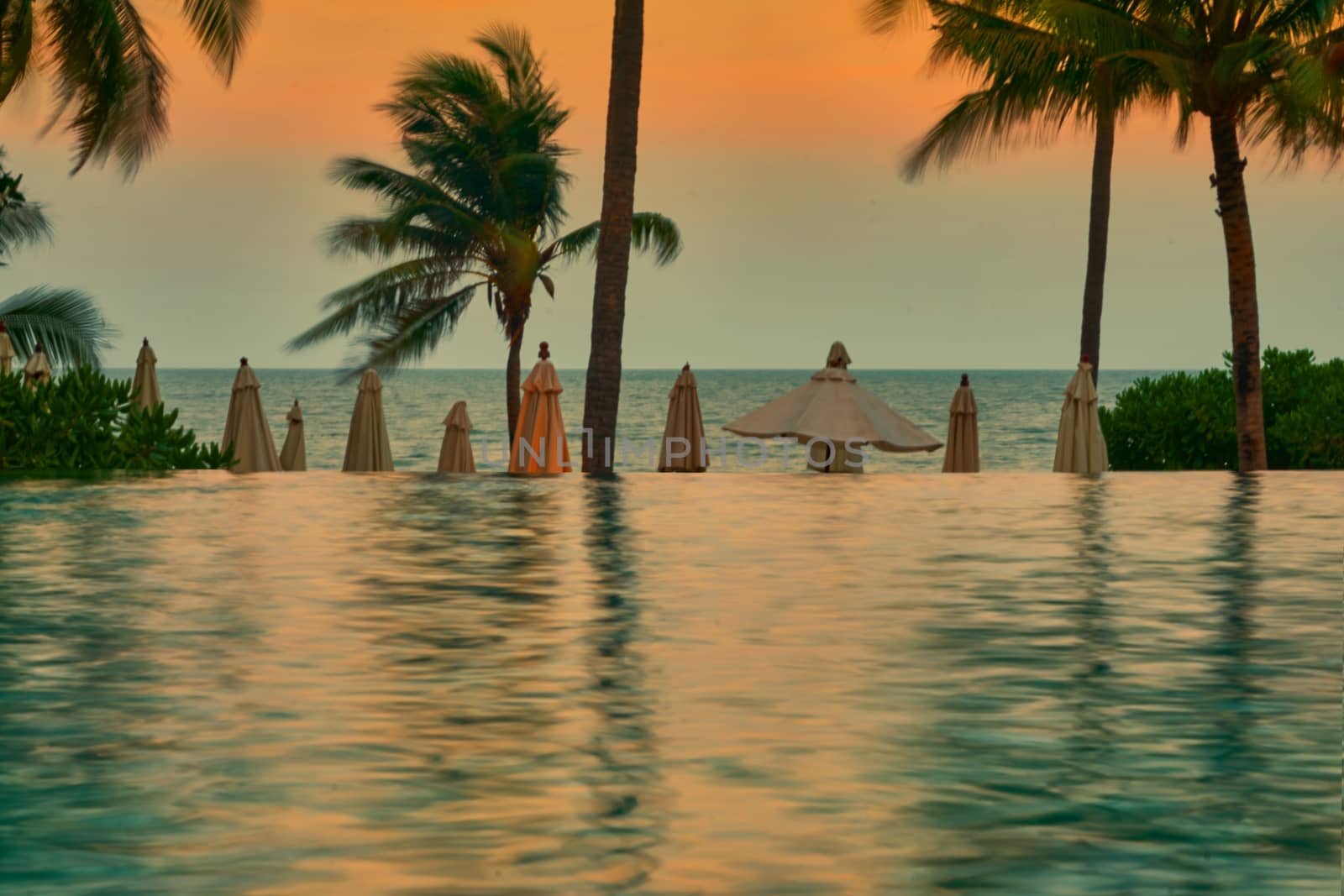 The beach front view with water pool ,umbrella and coconut tree on orange blue sky background