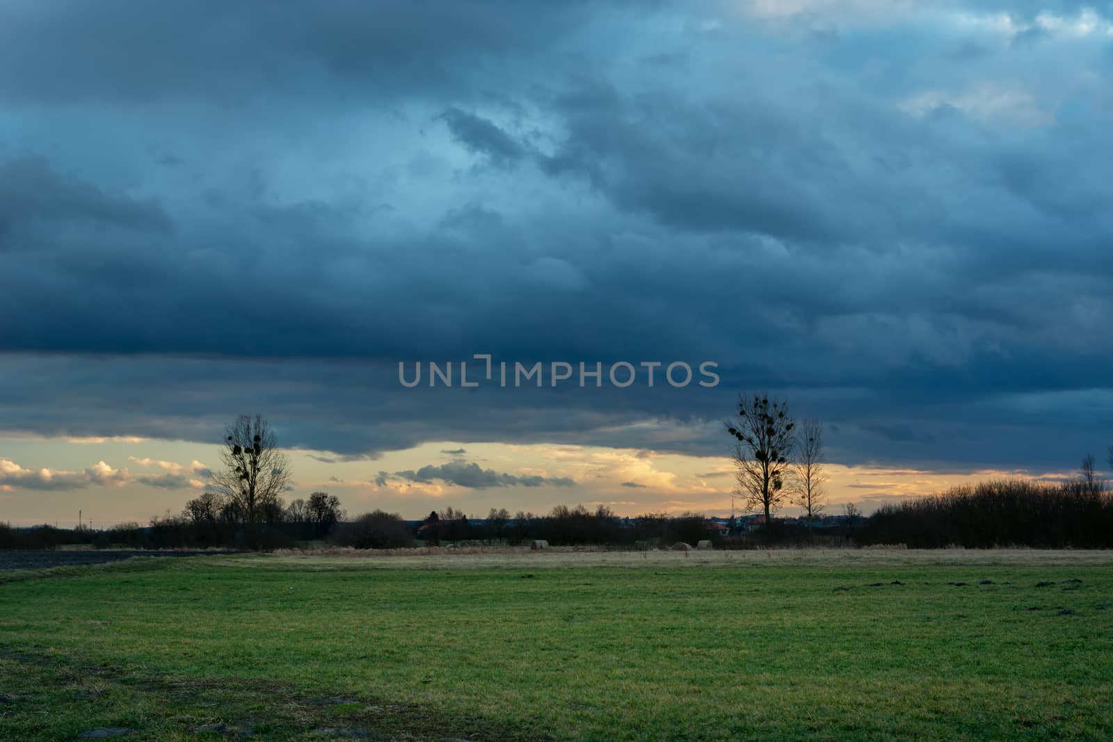 Green meadow, trees to the horizon and dark storm clouds, evening view