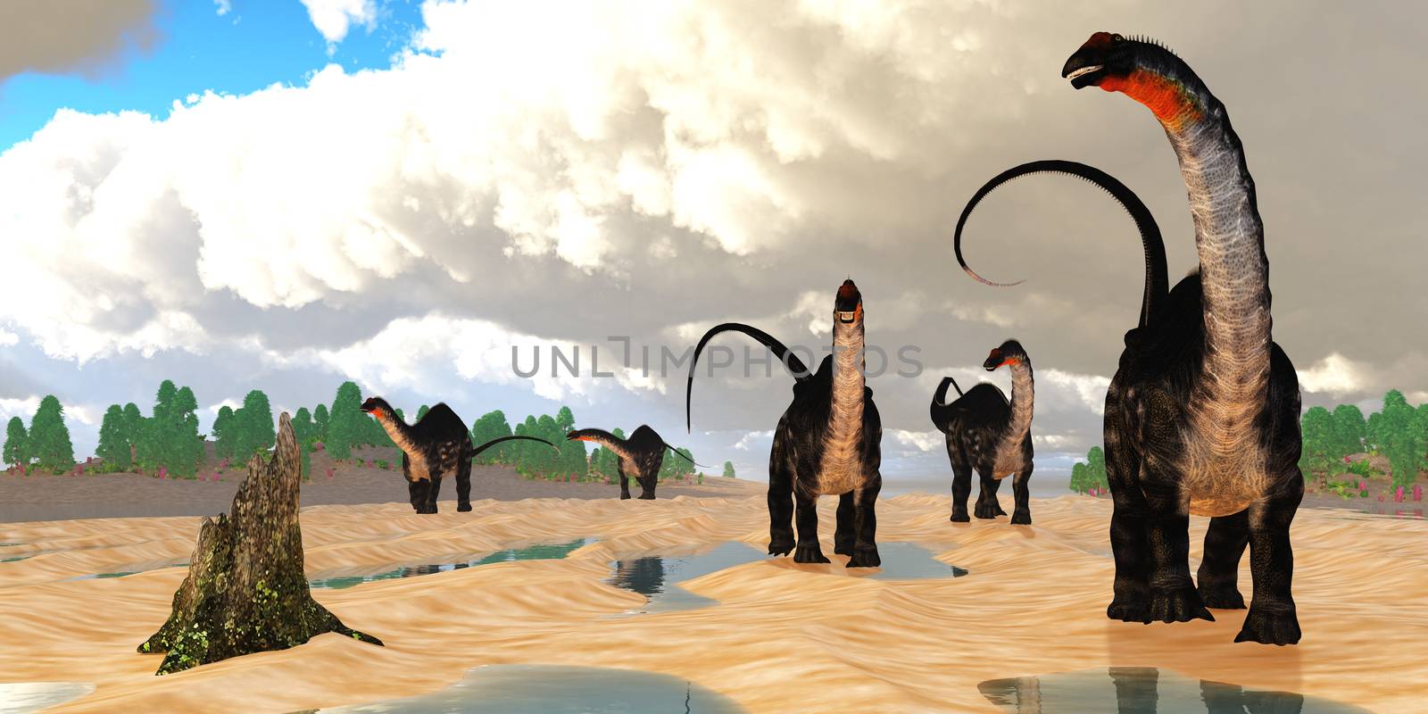 A herd of Apatosaurus dinosaurs amble down an estuary tidal flat at low tide during the Jurassic Period.