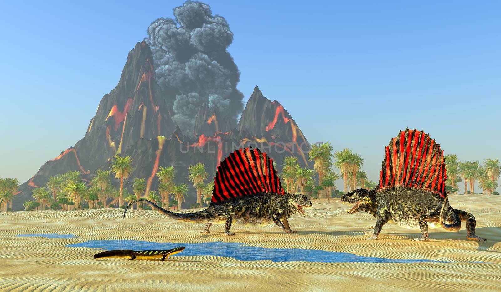 A Diplocaulus dinosaur watches as two Dimetrodon reptiles fight over territory and mating rights.