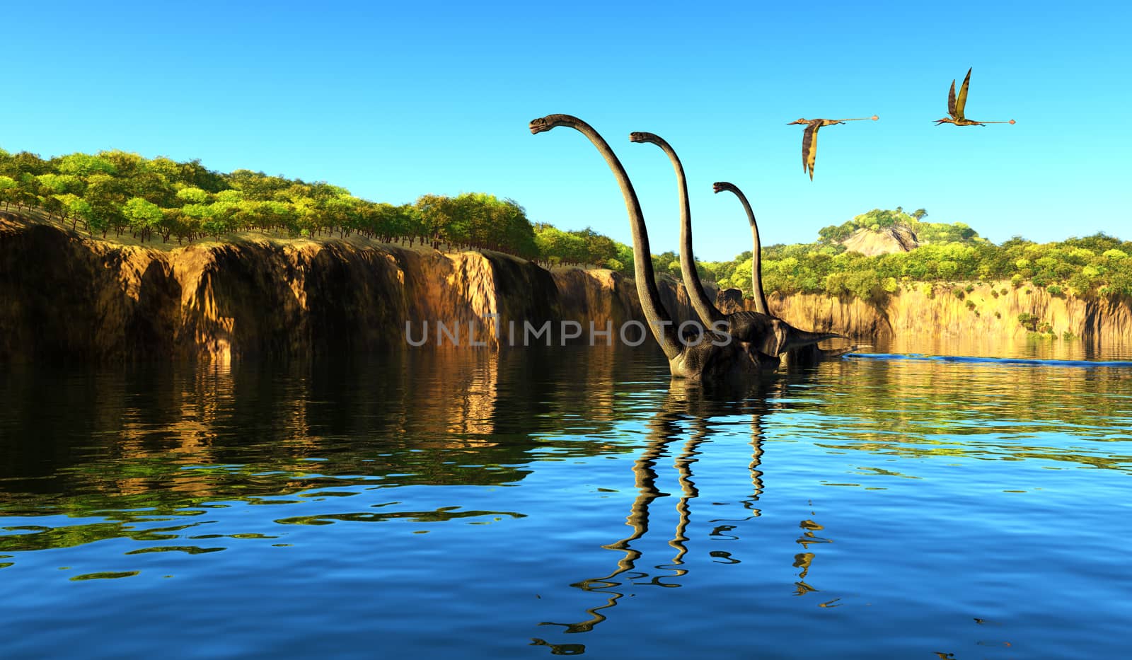 Omeisaurus dinosaurs wade through a river to munch on tree foliage as Rhamphorhynchus reptiles fly nearby.