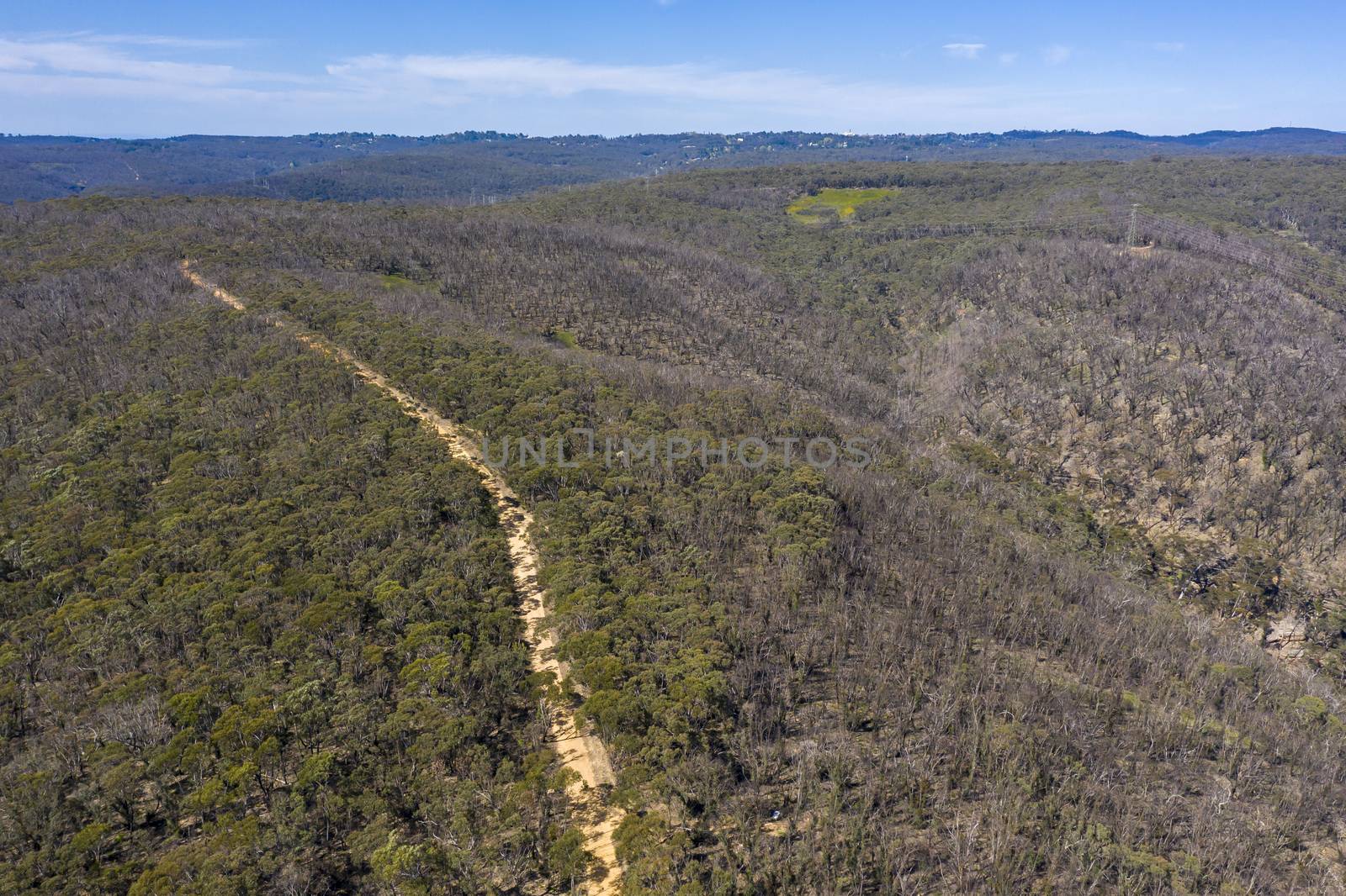 Aerial view of a dirt track running through forest by WittkePhotos