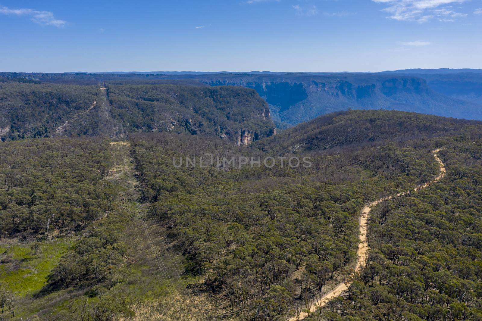 Aerial view of a dirt track running through forest by WittkePhotos