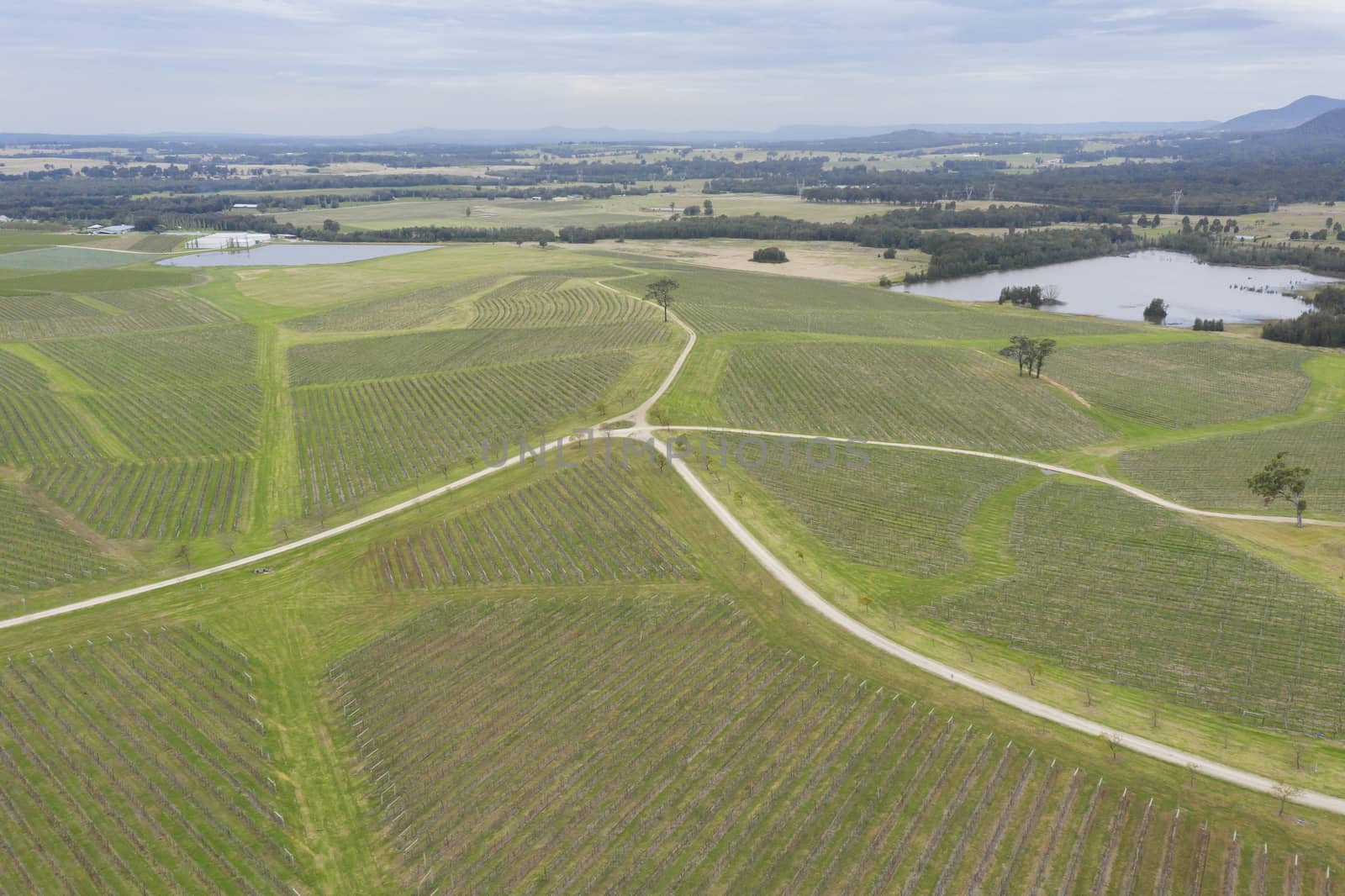 Aerial view of a vineyard in regional Australia by WittkePhotos