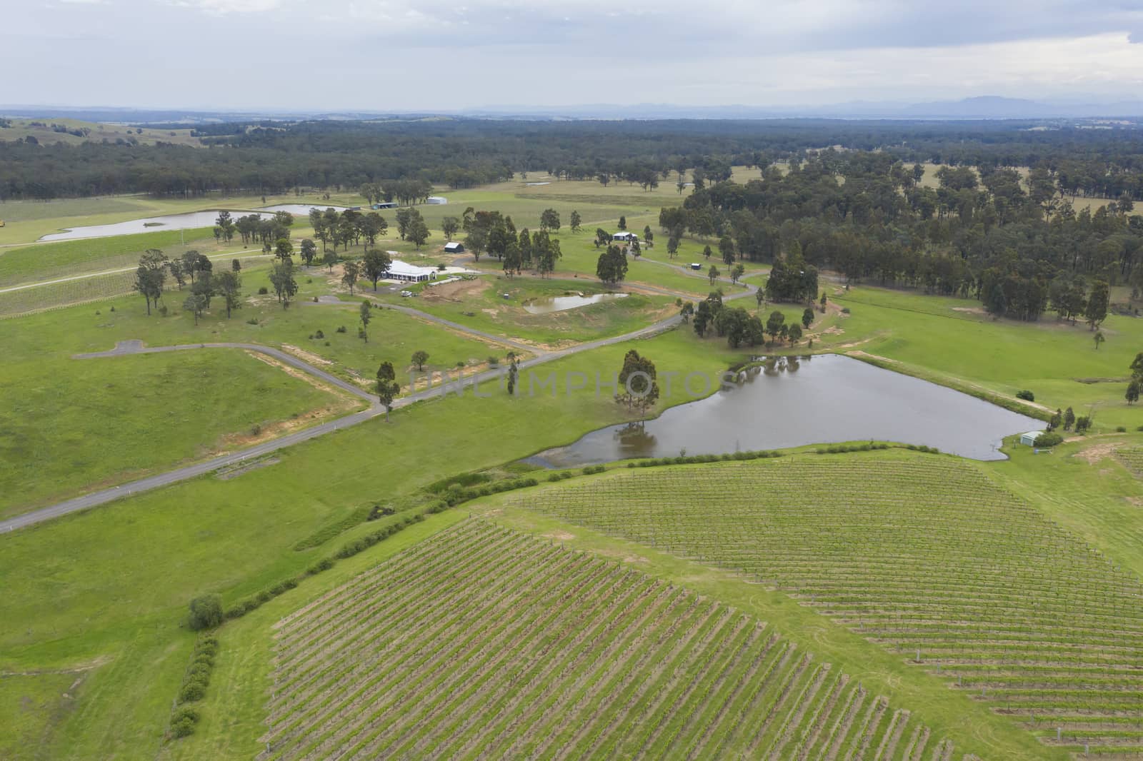 Aerial view of a vineyard in regional Australia by WittkePhotos