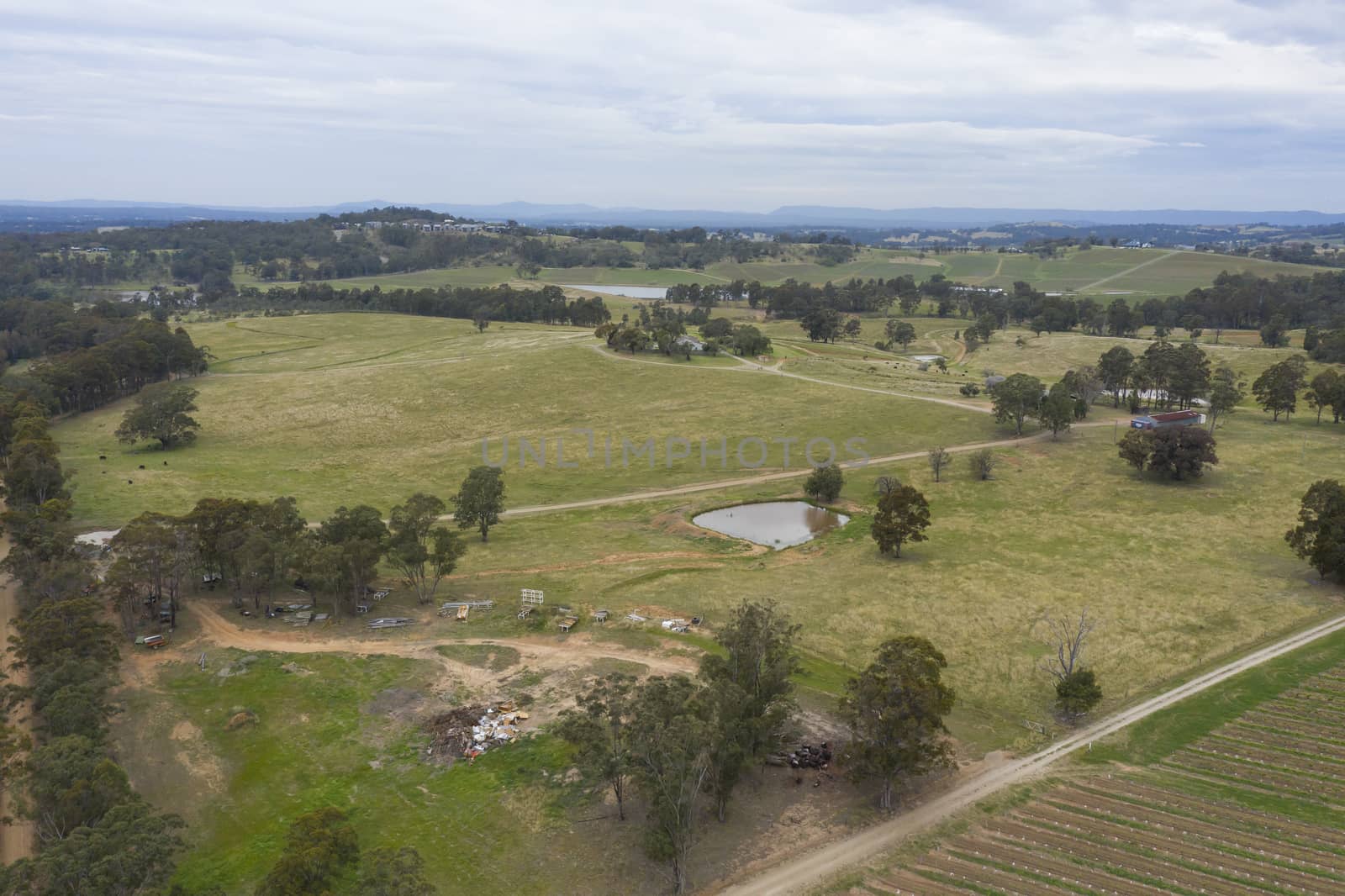 Aerial view of a vineyard in the Hunter Valley in regional New South Wales in Australia