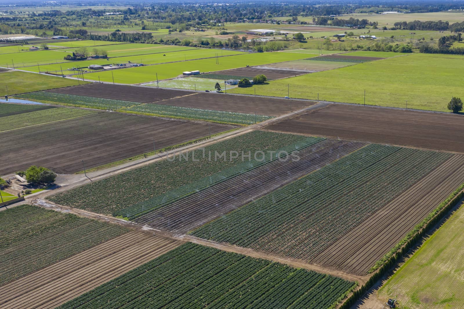 Aerial view of farmland in regional New South Wales in Australia by WittkePhotos