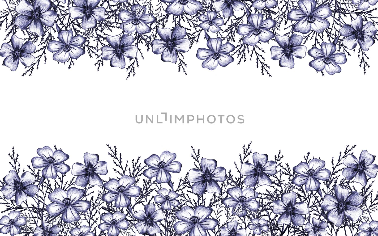 Frame with Blue Hand-Drawn Thin-leaved Marigolds Flowers. by Rina_Dozornaya