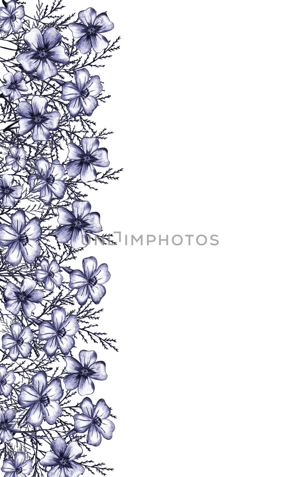 Frame with Blue Hand-Drawn Thin-leaved Marigolds Flowers. by Rina_Dozornaya