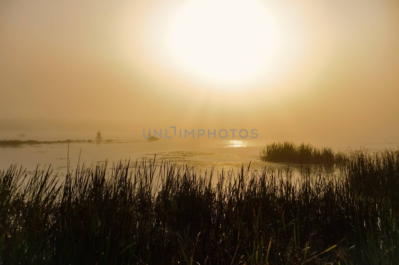 View of the Foggy Dnieper River at morning by MaxalTamor