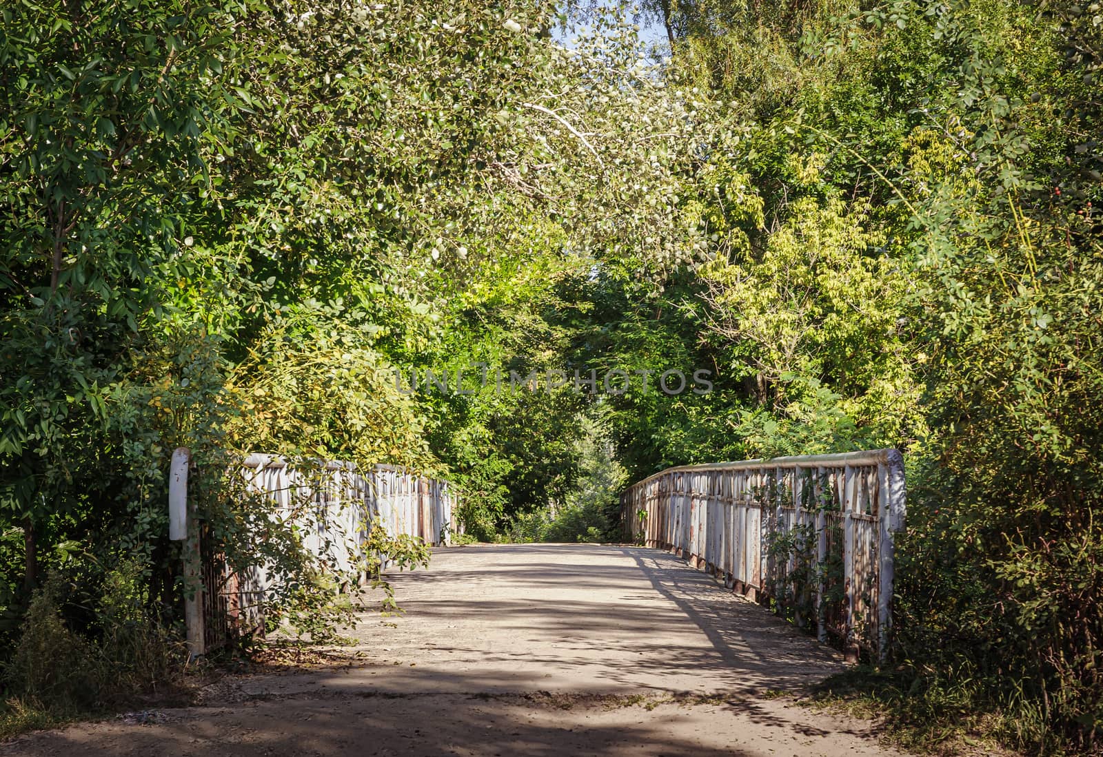 A bridge through the trees in the Ukrainian country side, during summer