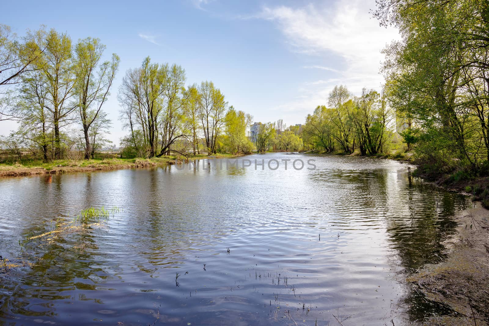 View of trees close to the Dnieper river in spring by MaxalTamor