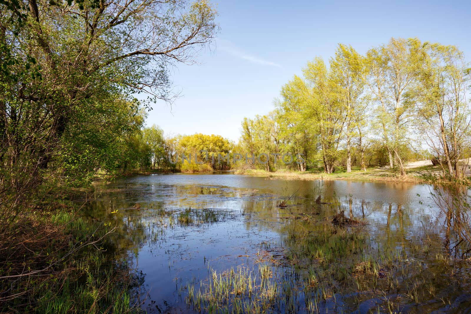 Nice and quiet spring day close to the Dnieper river. Young green leaves are growing on the trees under a tepid sun. Blue water and soft clouds in the sky.