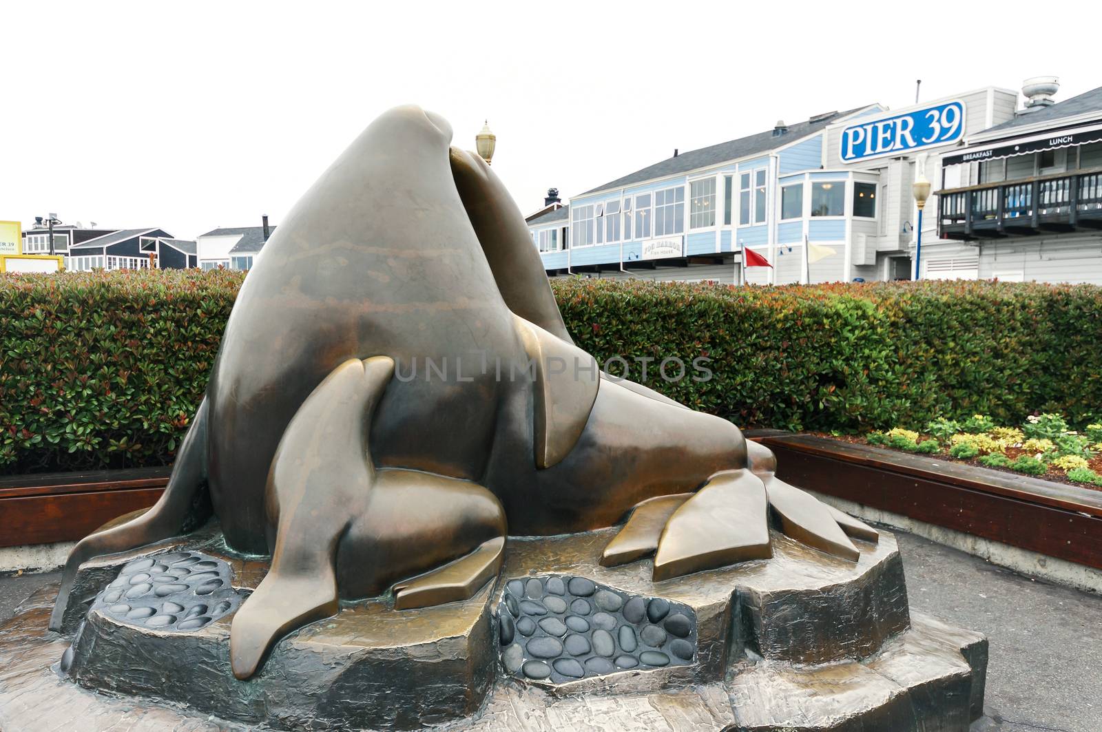 Guardians of the Gate, Everdur bronze sculpture at Pier 39. The place  is a shopping center and popular tourist attraction built on a pier, in Fisherman's Wharf