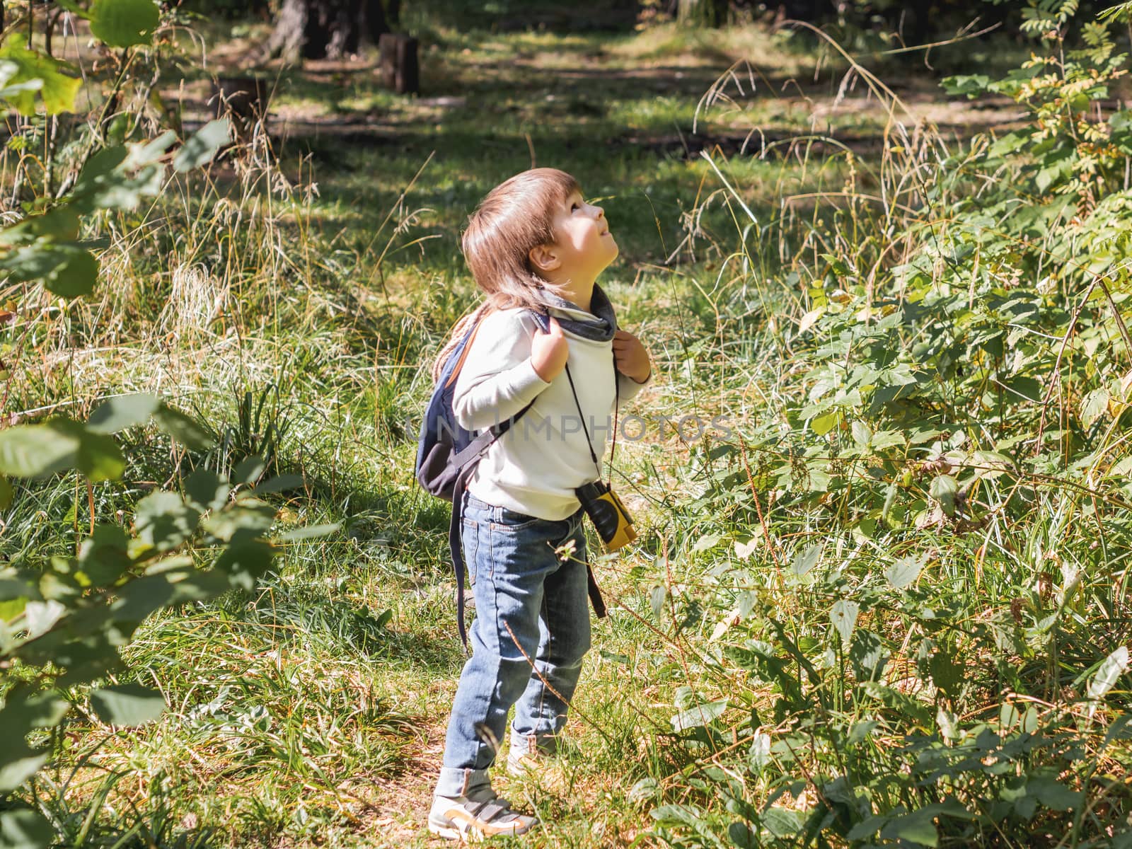 Curious boy is hiking in forest lit by sunlight. Outdoor leisure activity for kids. Child with binoculars and backpack. Summer journey fot little tourist. Adventure time.