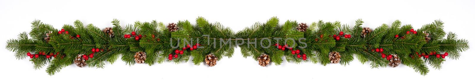 Winter and Christmas fir berries and cones composition isolated on white background with copy space