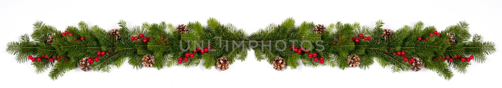 Winter and Christmas fir berries and cones composition isolated on white background with copy space