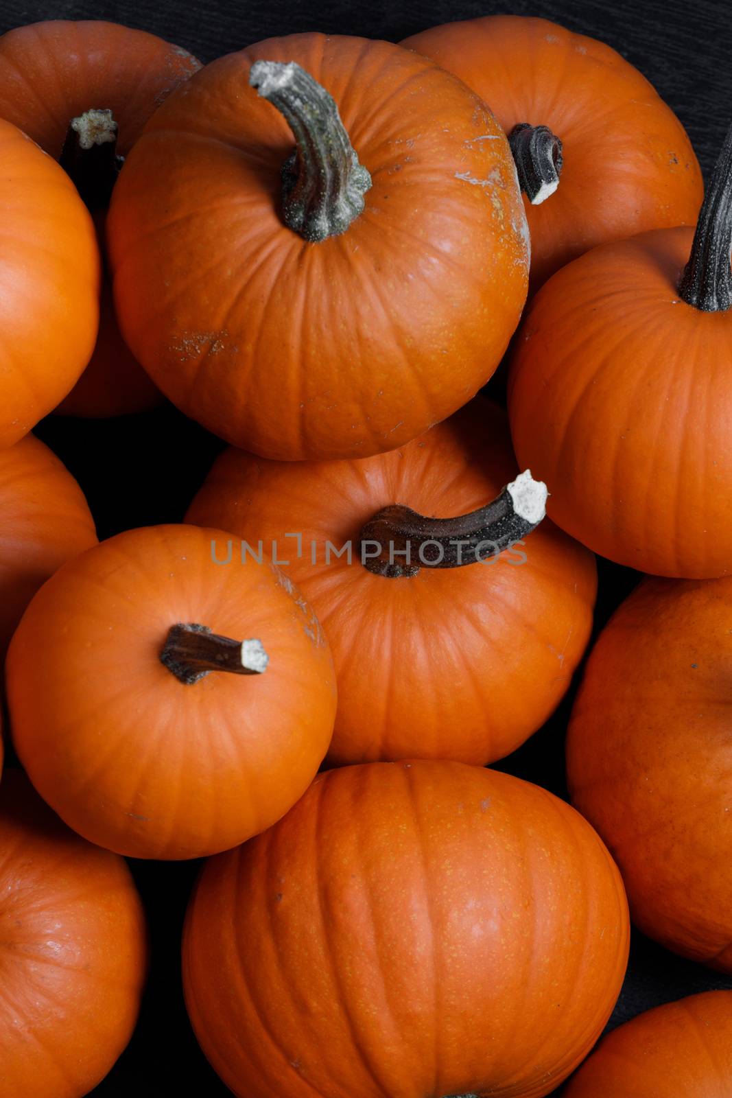 Many pumpkins collection on the autumn market