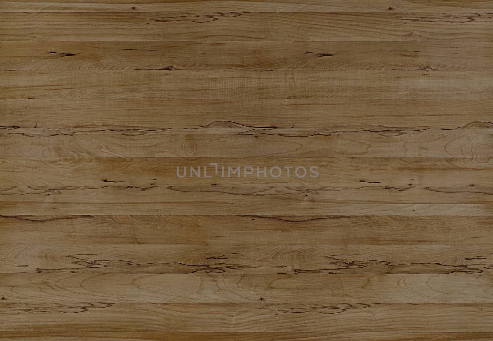 The gradient Teak wooden texture surface close up photo.