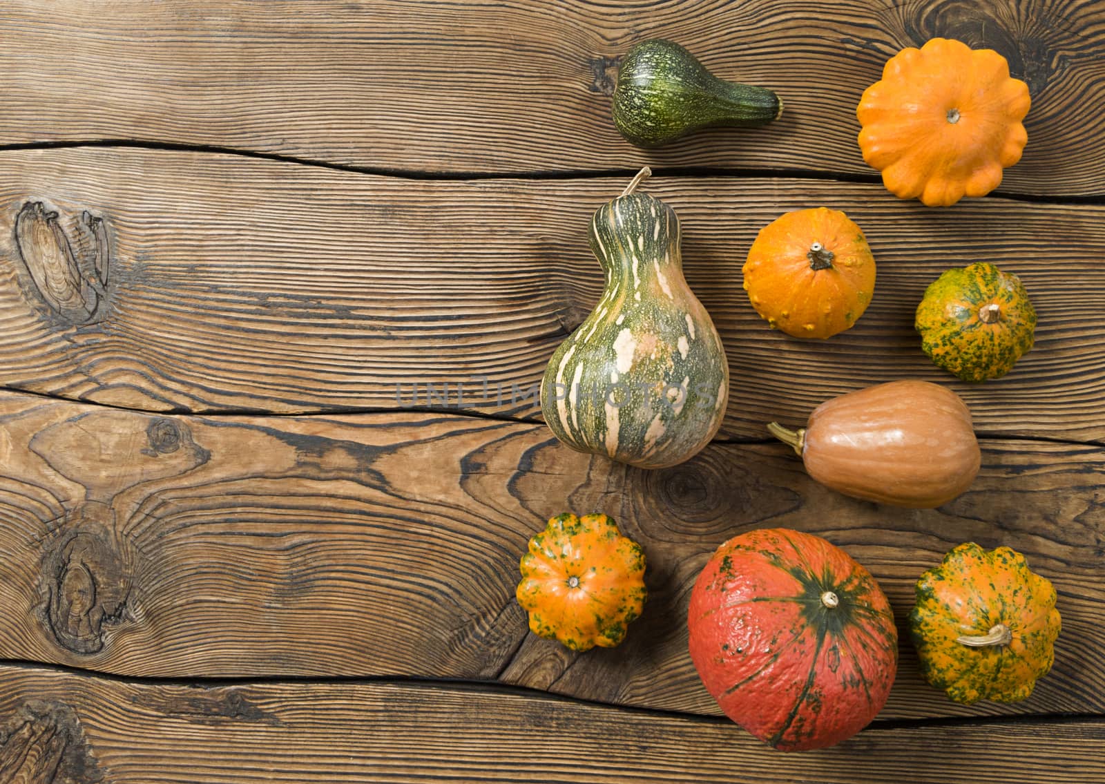 Variety of pumpkins on a wood background. Harvest concept flat lay with copy space.
