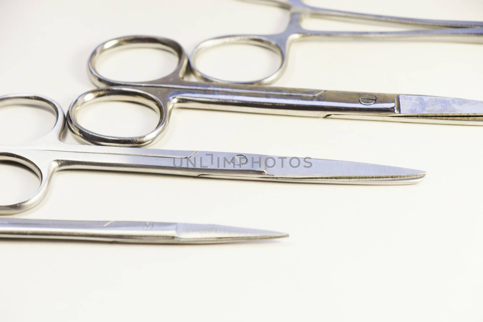 Dissection Kit - Premium Quality Stainless Steel Tools for Medical Students of Anatomy. Surgery instruments. Operation scissors. by Taidundua