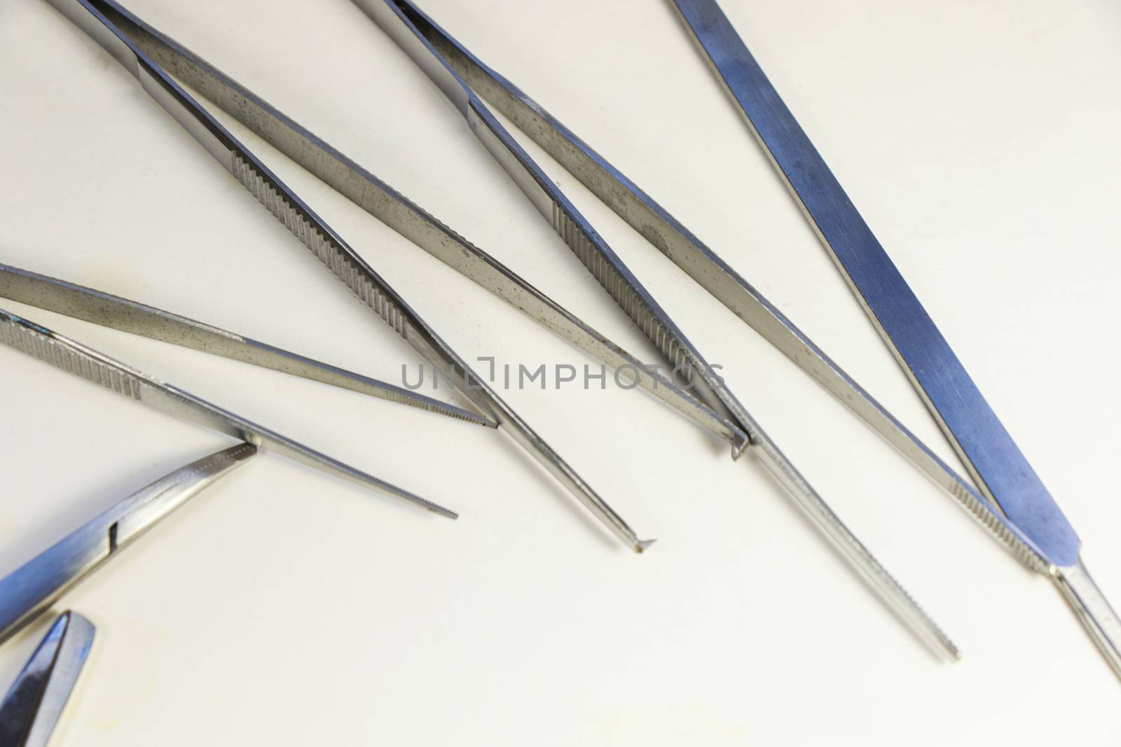 Dissection Kit - Premium Quality Stainless Steel Tools for Medical Students of Anatomy. Surgery instruments. Pincers. by Taidundua