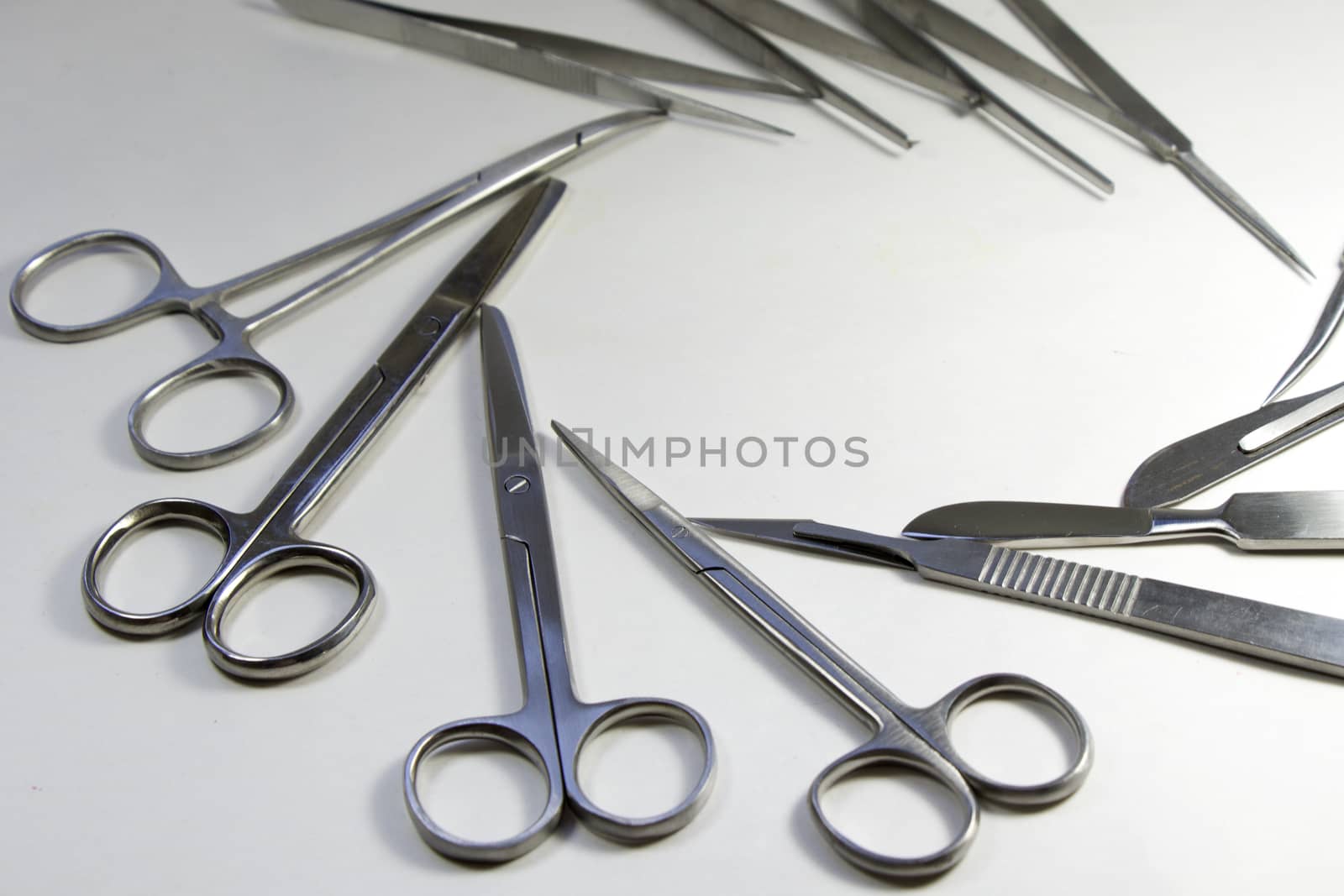 Dissection Kit - Premium Quality Stainless Steel Tools for Medical Students of Anatomy. Surgery instruments. by Taidundua