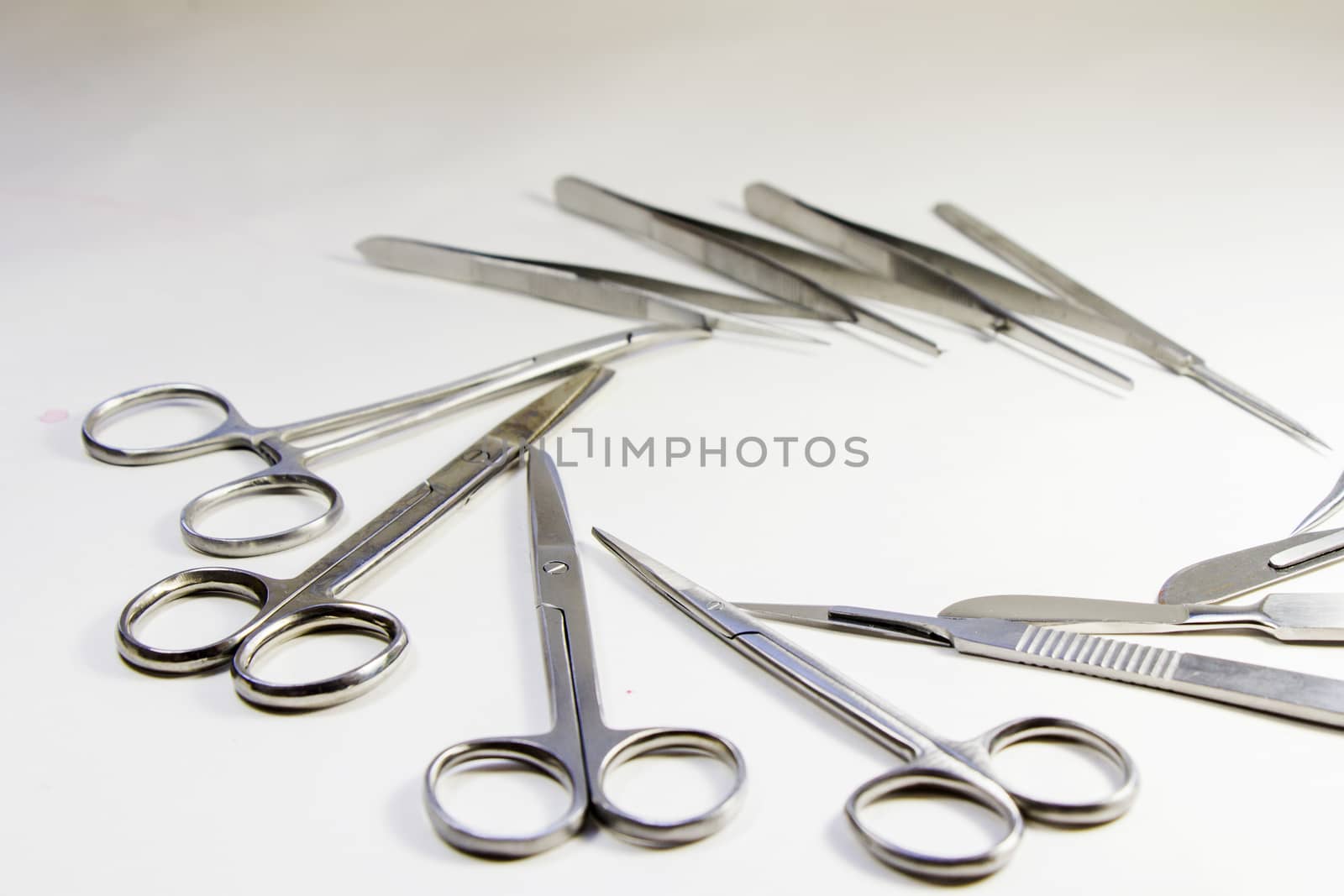 Dissection Kit - Premium Quality Stainless Steel Tools for Medical Students of Anatomy, Biology, Veterinary, Marine Biology with Scalpel Blades Included for Dissecting Frogs. Surgery instruments.