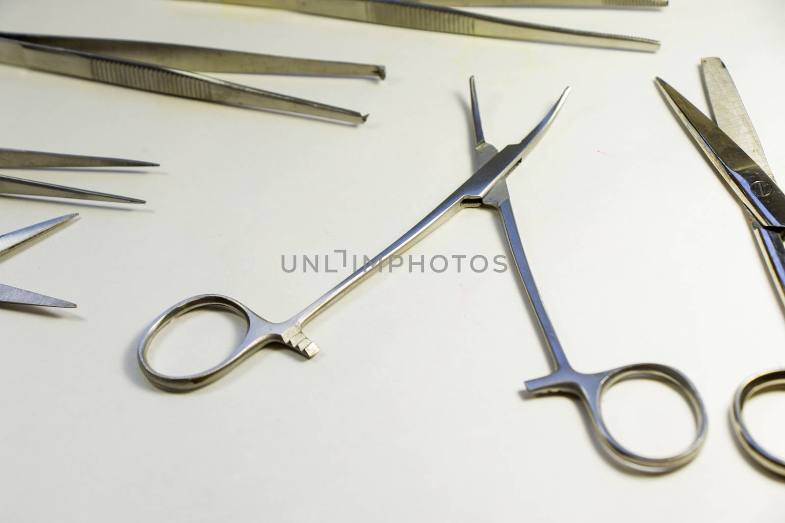 Dissection Kit - Premium Quality Stainless Steel Tools for Medical Students of Anatomy. Surgery instruments. Operation scissors. by Taidundua