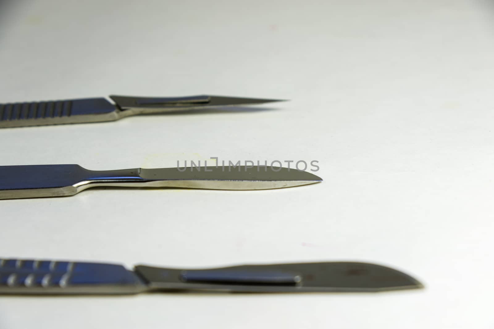 Dissection Kit - Surgery knife. Premium Quality Stainless Steel Tools for Medical Students of Anatomy. by Taidundua
