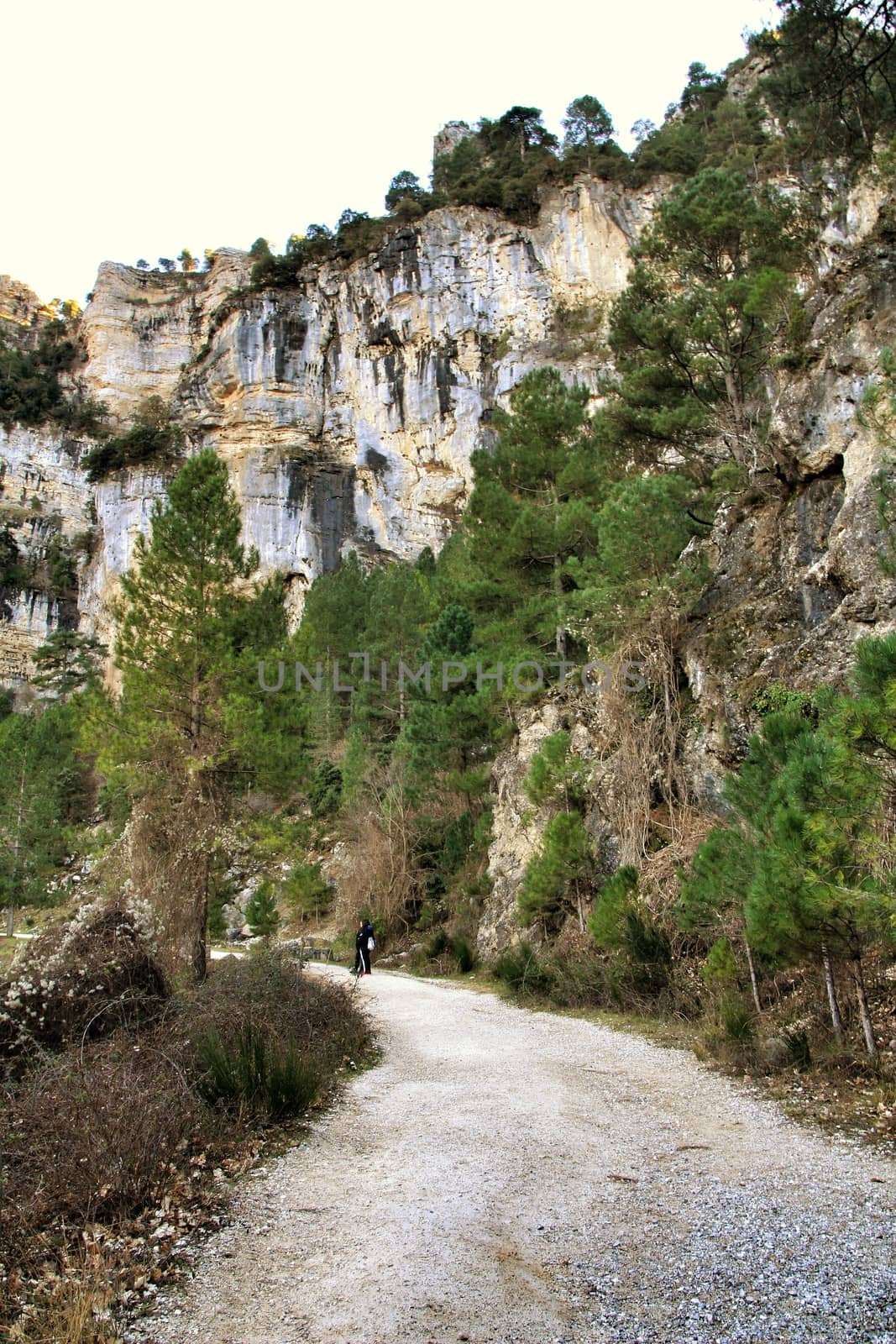 Riopar, Albacete, Spain- February 8, 2019: Walkers through Mountains between with green vegetation in winter in Riopar, Castilla la Mancha, Spain