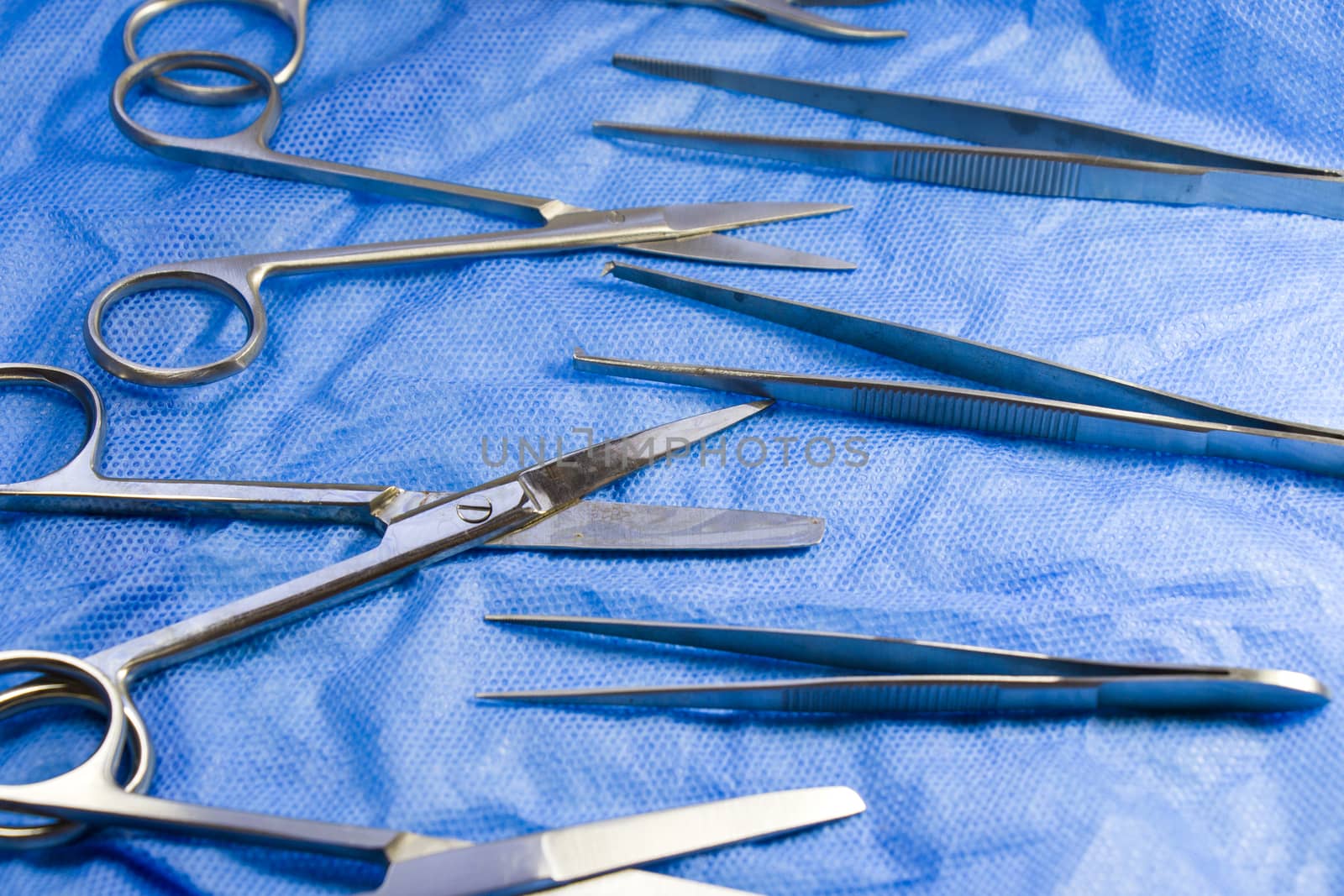 Dissection Kit - Premium Quality Stainless Steel Tools for Medical Students of Anatomy. Surgery instruments. by Taidundua