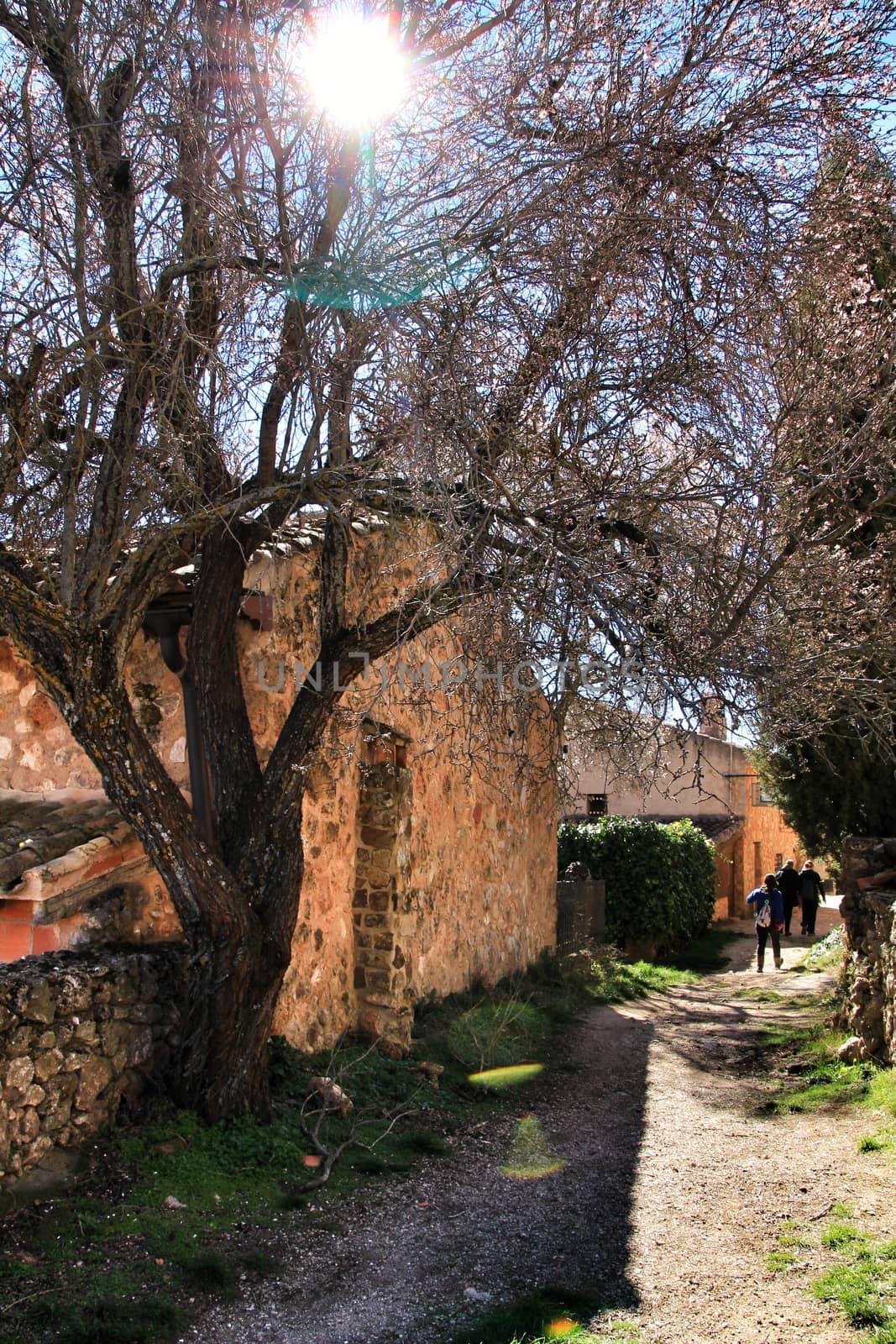 Riopar Viejo, Albacete, Spain- February 8, 2019: Old beautiful stone facades and streets in Riopar Viejo village, Castilla La Mancha, Spain. Sunny day of winter.