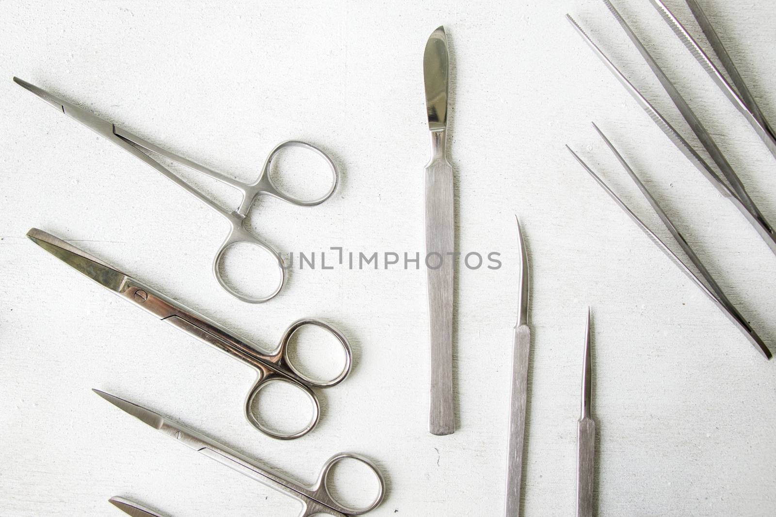 Dissection Kit - Premium Quality Stainless Steel Tools for Medical Students of Anatomy, Biology, Veterinary, Marine Biology by Taidundua