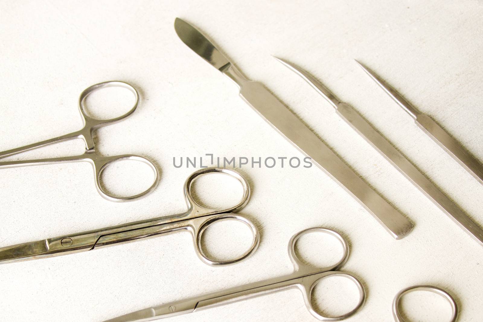 Dissection Kit - Premium Quality Stainless Steel Tools for Medical Students of Anatomy, Biology, Veterinary, Marine Biology by Taidundua