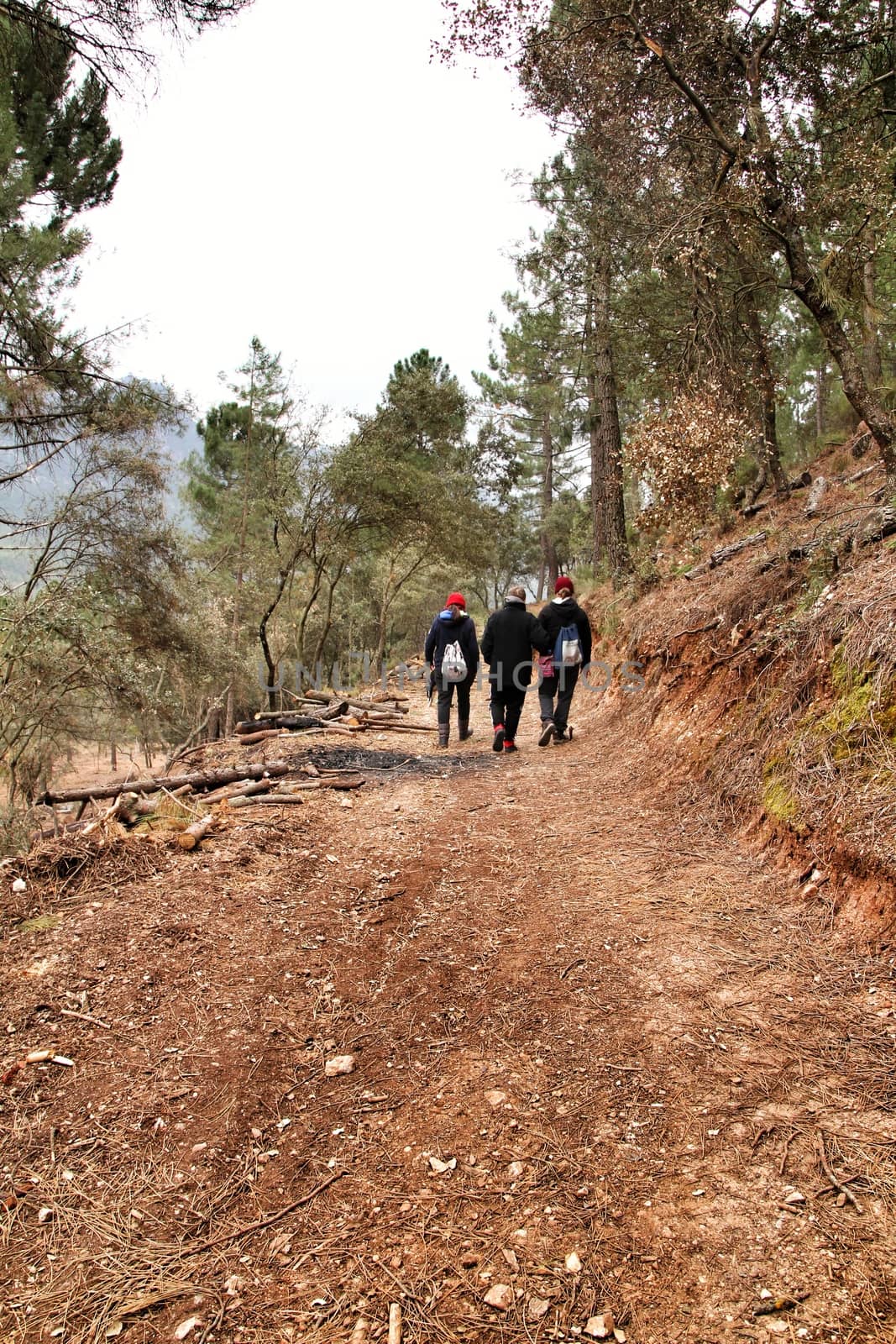 Riopar, Albacete, Spain- February 8, 2019: Walkers through Mountains between with green vegetation in winter in Riopar, Castilla la Mancha, Spain