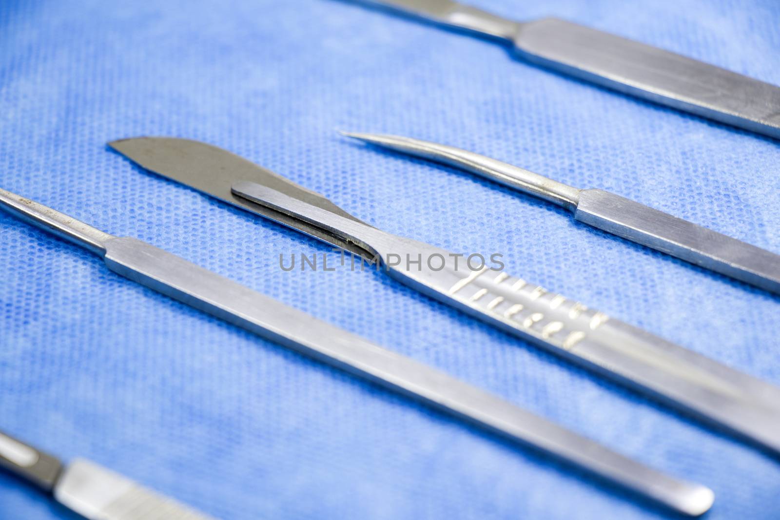 Dissection Kit, Stainless Steel Tools for Medical Students of Anatomy, Biology, Veterinary by Taidundua