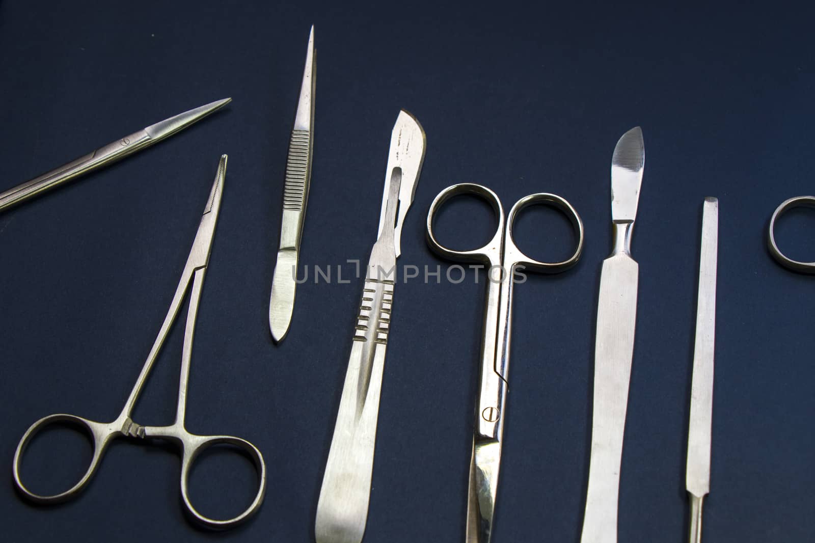 Dissection Kit - Premium Quality Stainless Steel Tools for Medical Students of Anatomy, Biology, Veterinary, Marine Biology with Scalpel Blades