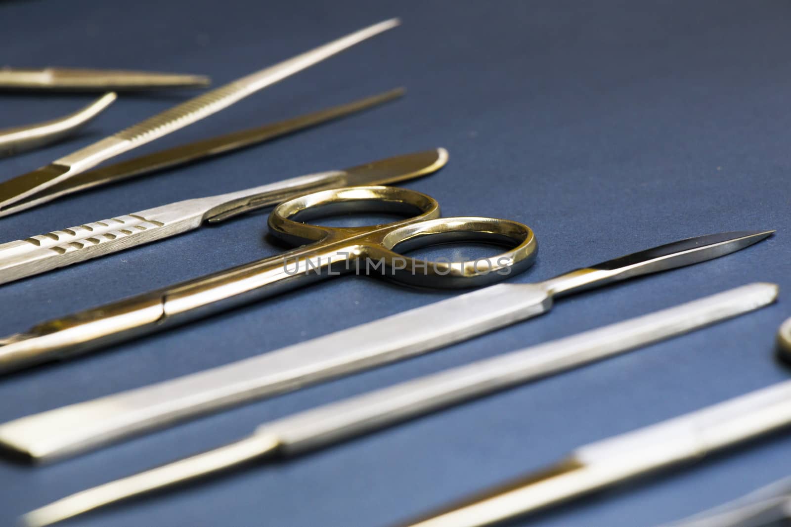 Dissection Kit - Premium Quality Stainless Steel Tools for Medical Students by Taidundua