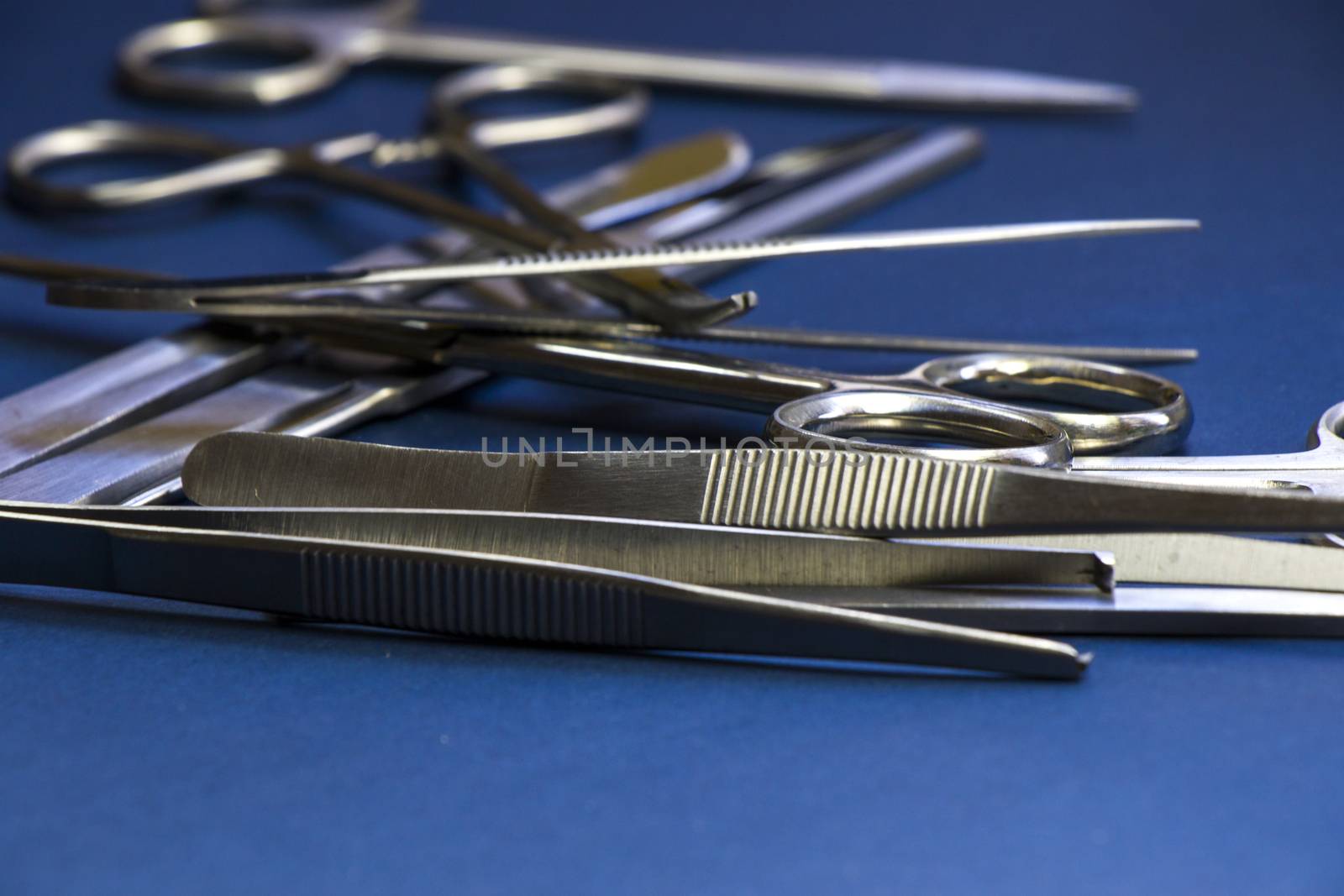 Dissection Kit - Premium Quality Stainless Steel Tools for Medical Students by Taidundua