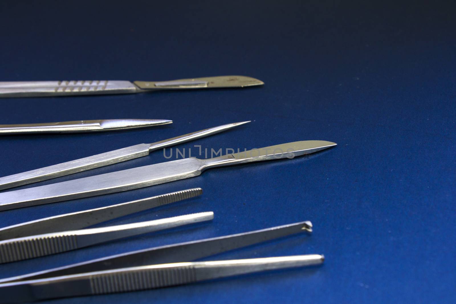 Dissection Kit - Premium Quality Stainless Steel Tools for Medical Students by Taidundua