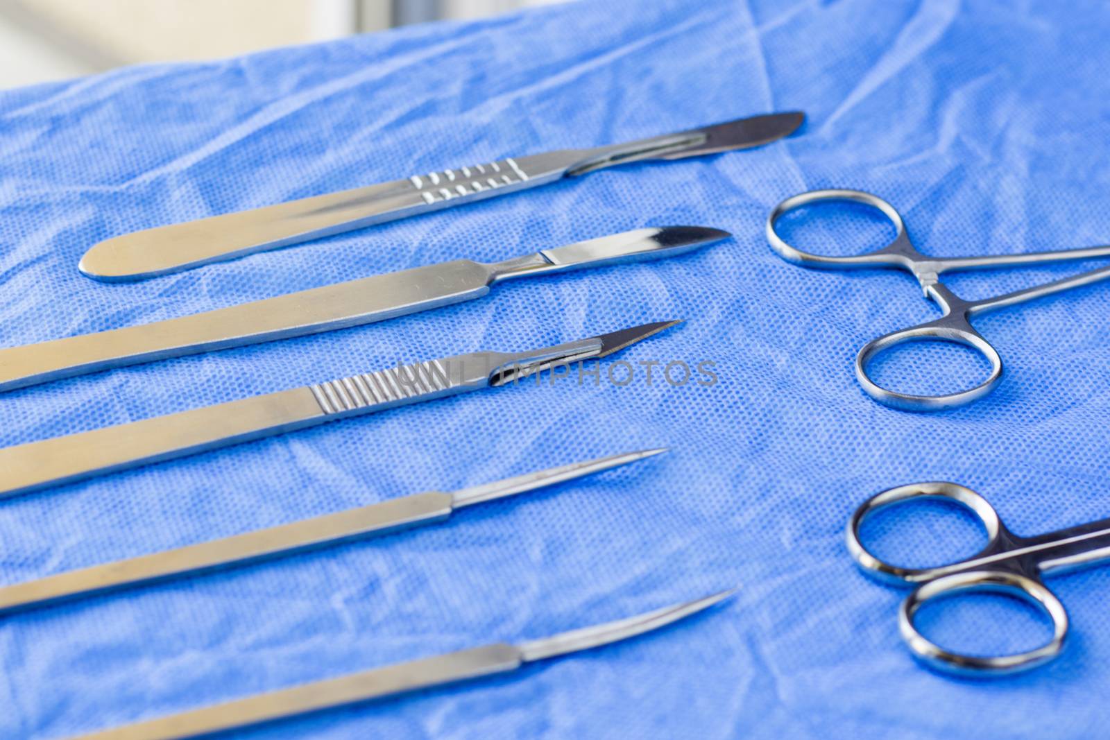 Dissection Kit - Stainless Steel Tools for Medical Students of Anatomy, Biology, Veterinary, Marine Biology