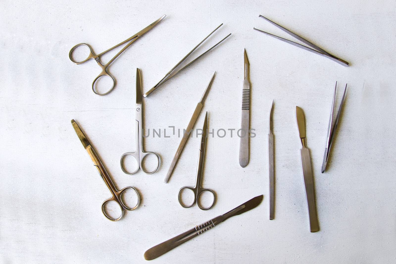 Dissection Kit - Stainless Steel Tools for Medical Students of Anatomy, Biology, Veterinary by Taidundua