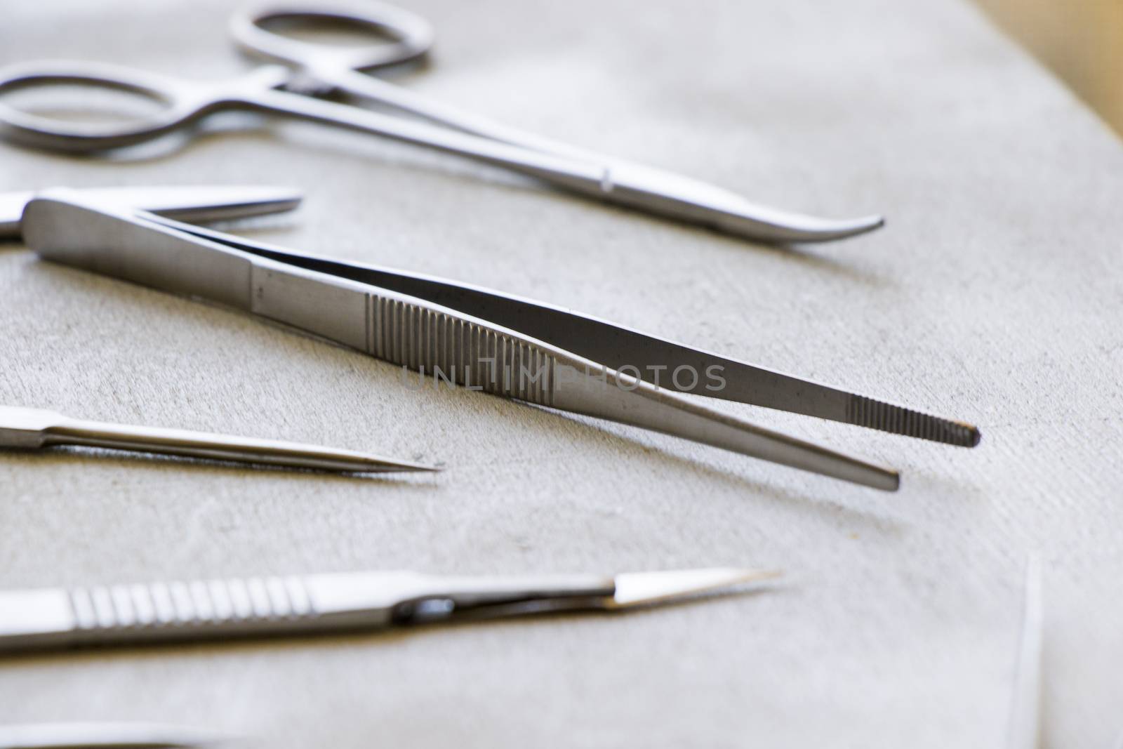Dissection Kit - Stainless Steel Tools for Medical Students of Anatomy, Biology, Veterinary, Marine Biology