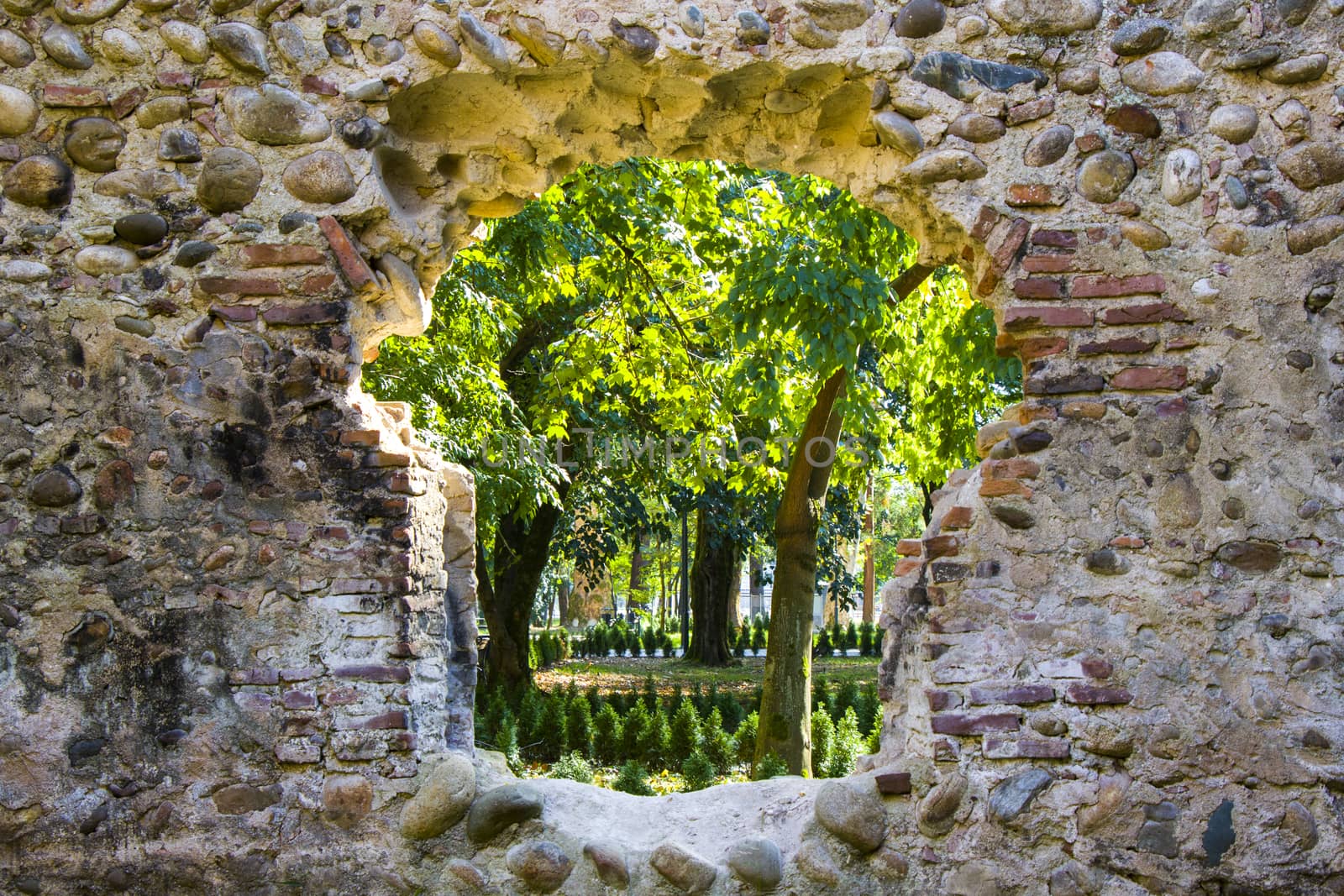 Old tower ruins in Zugdidi Botanic garden by Taidundua