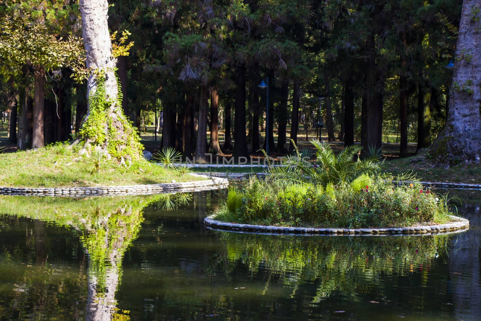 Pond in the park, Zugdidi Botanic garden in Georgia.