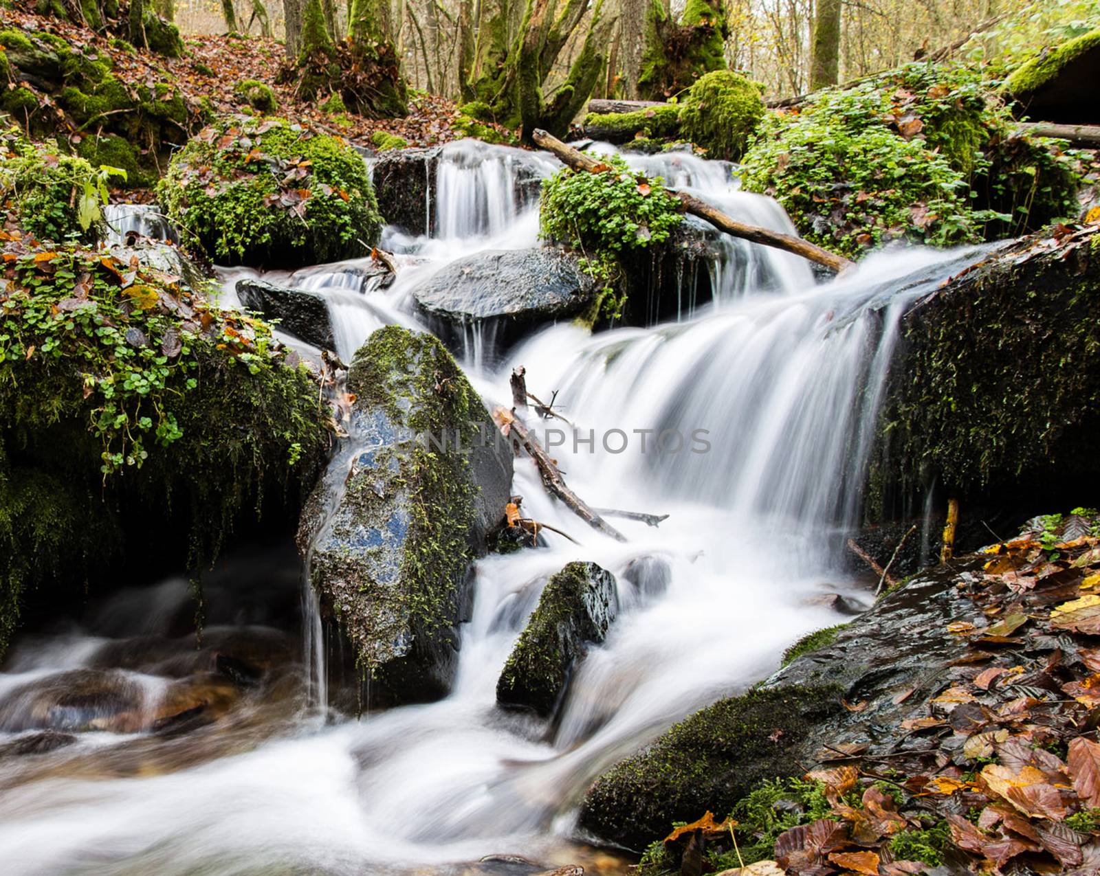 Beautiful pictures of  Belgium